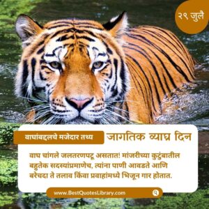 आंतरराष्ट्रीय-व्याघ्र-दिवस